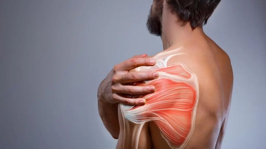 The concept of muscle tension